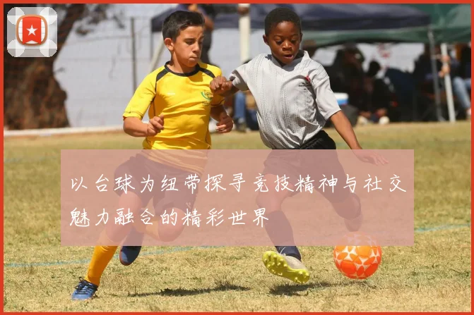 以台球为纽带探寻竞技精神与社交魅力融合的精彩世界