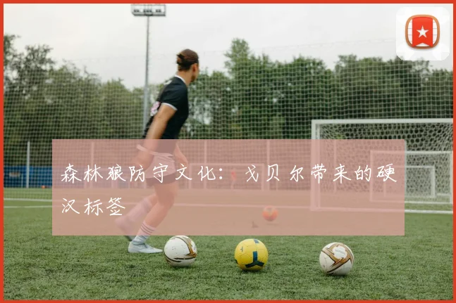 森林狼防守文化：戈贝尔带来的硬汉标签