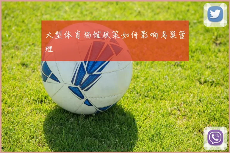 大型体育场馆政策如何影响鸟巢管理