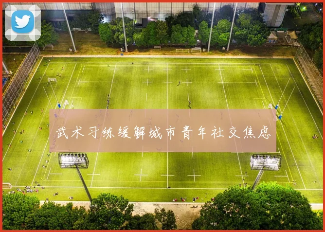 武术习练缓解城市青年社交焦虑